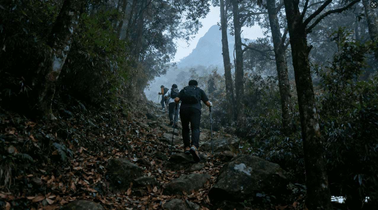 极光加速器电脑软件安全下载安装步骤